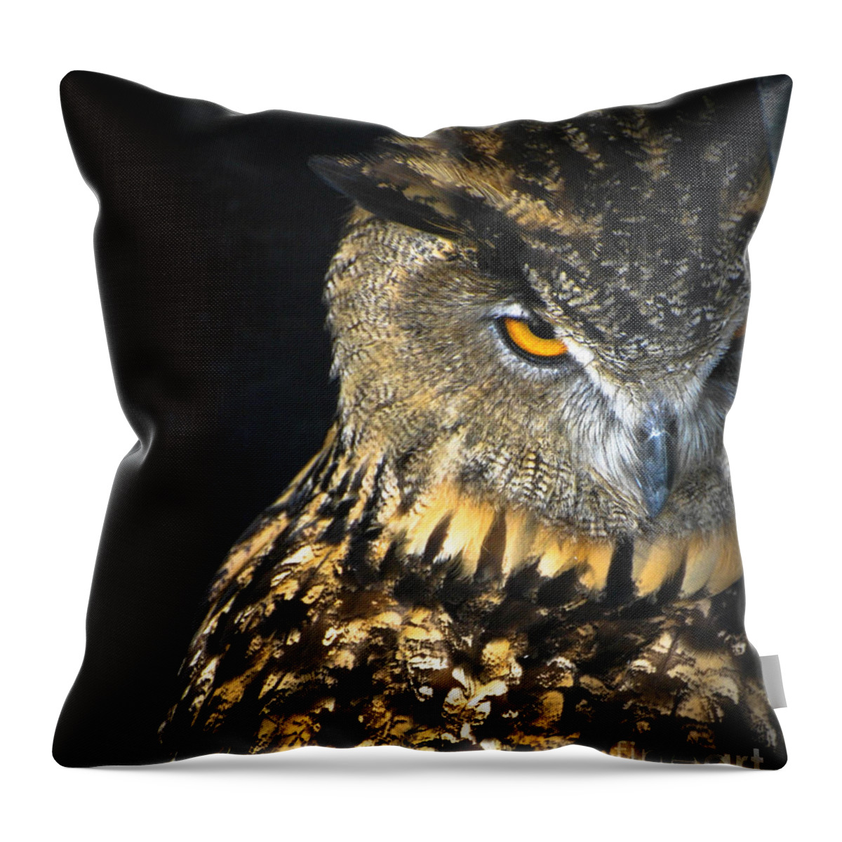 Owl Throw Pillow featuring the photograph The Look by Amy Porter