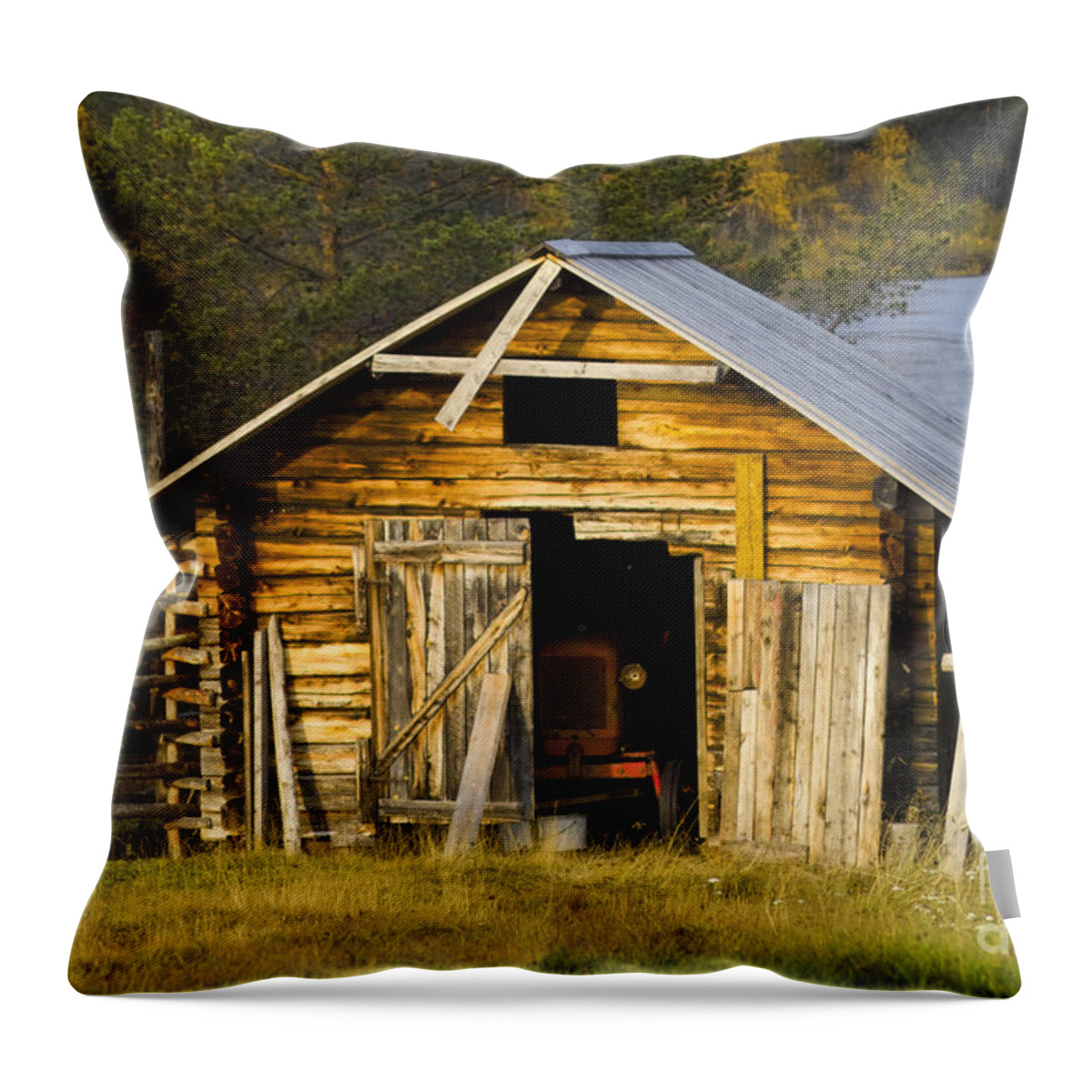 Heiko Throw Pillow featuring the photograph The Old Barn by Heiko Koehrer-Wagner