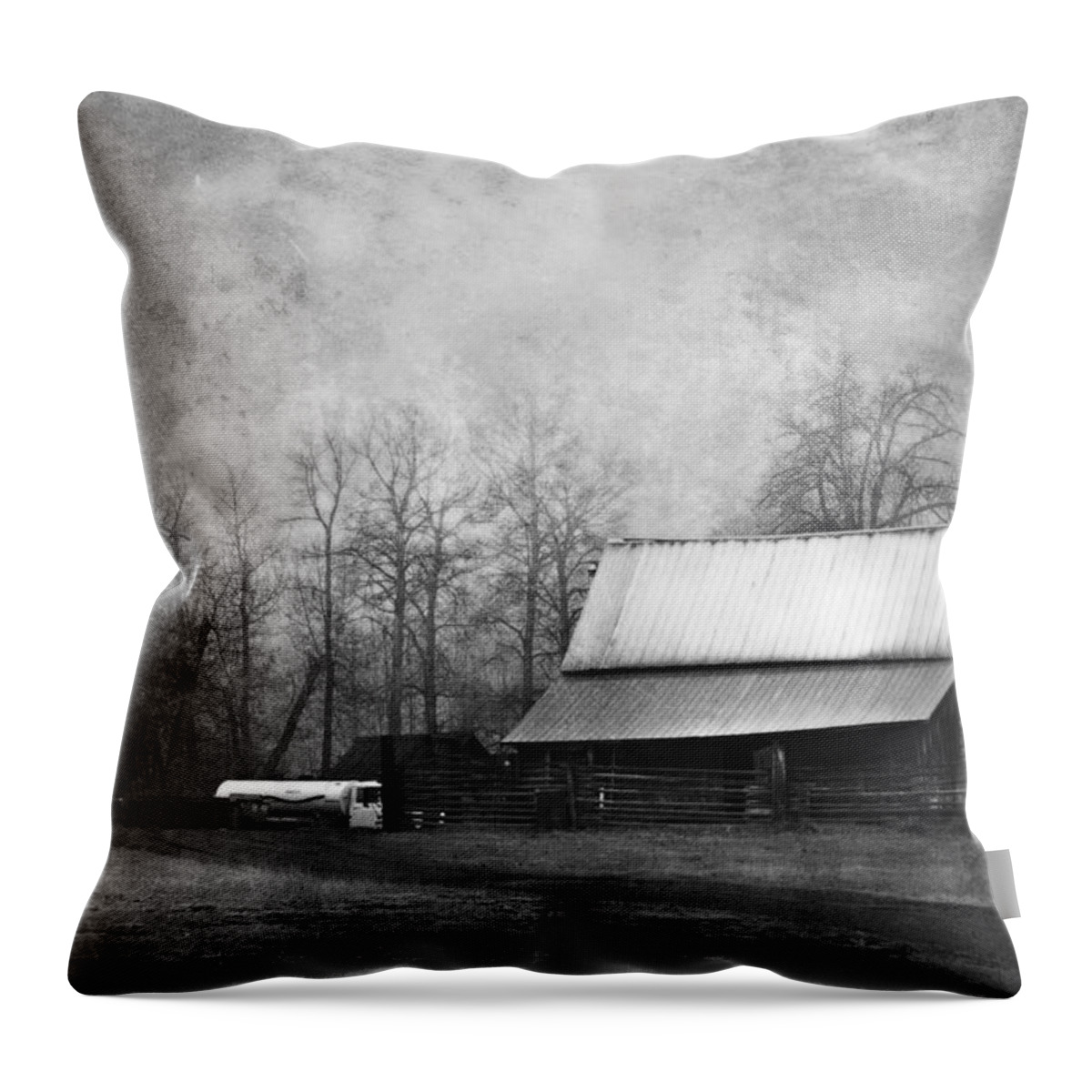 Vintage Throw Pillow featuring the photograph The Old Barn by Theresa Tahara