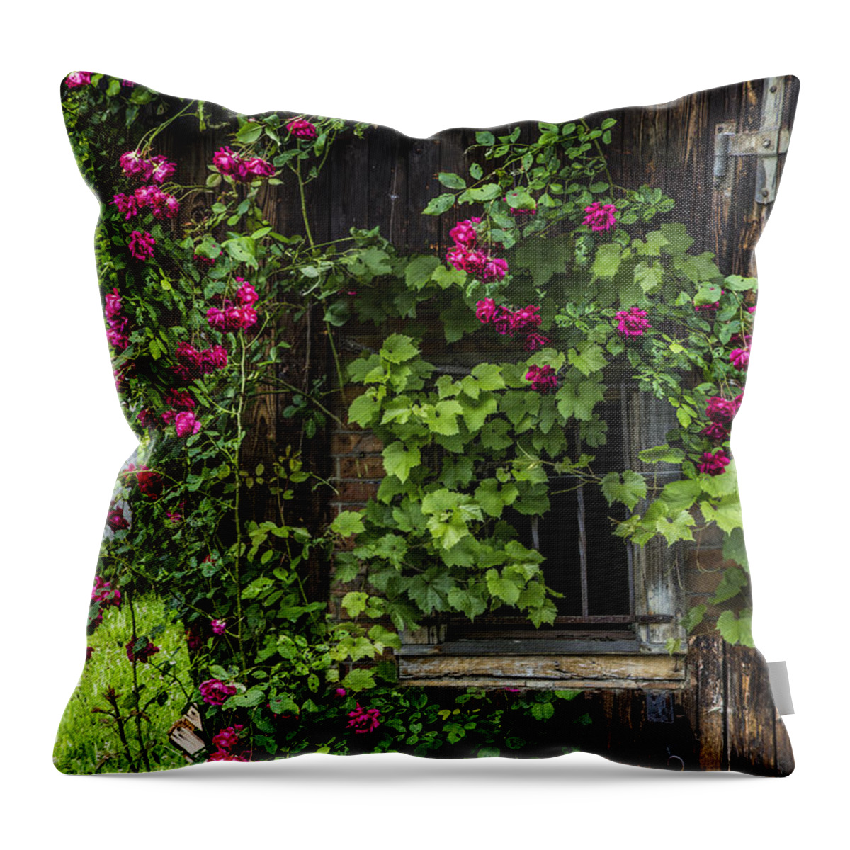 Austria Throw Pillow featuring the photograph The Old Barn Window by Debra and Dave Vanderlaan