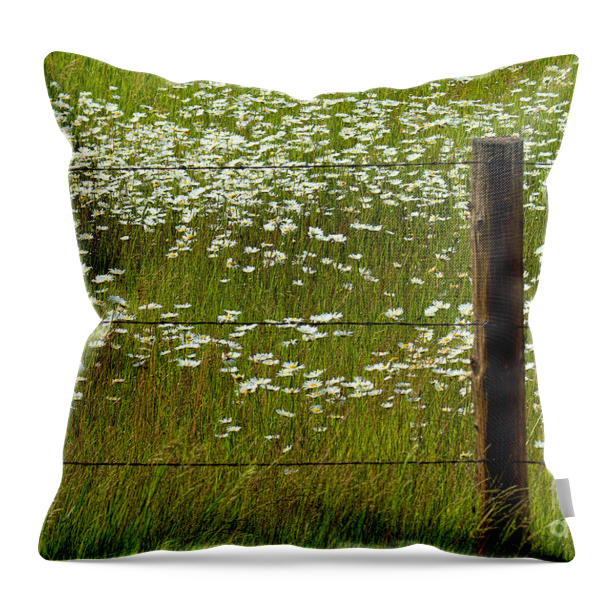 Flowers Throw Pillow featuring the photograph The Other Side by Jim Garrison