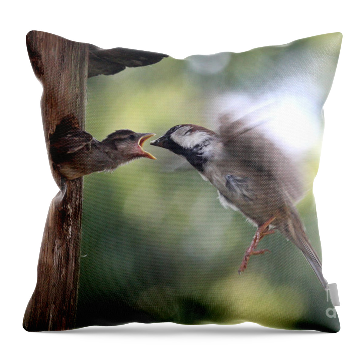 Bird Throw Pillow featuring the photograph The Reach by Jayne Carney