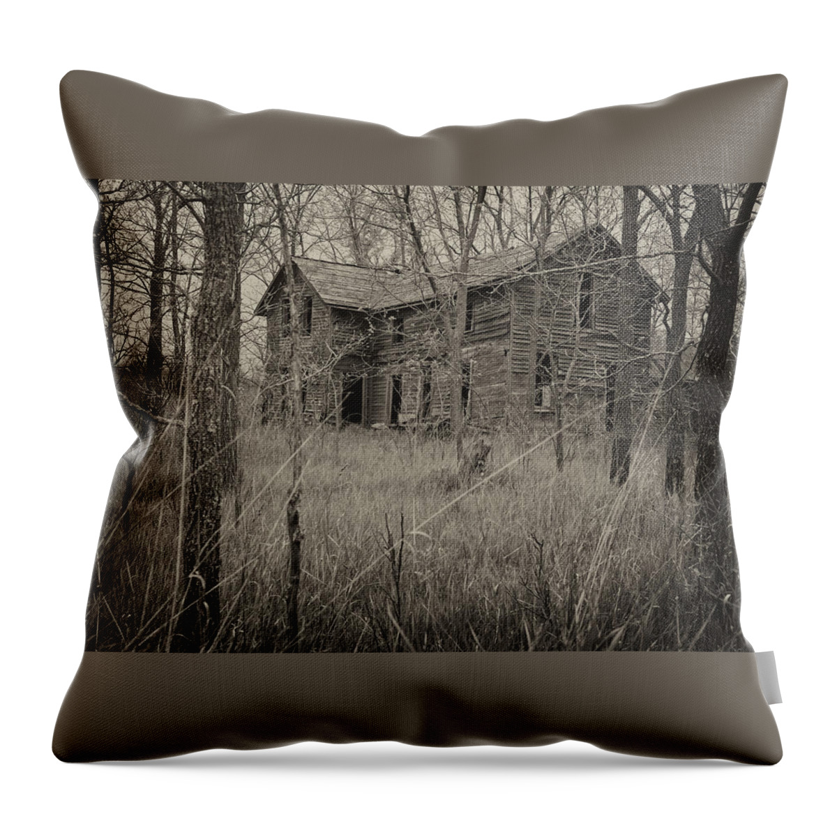 Abandoned Throw Pillow featuring the photograph The House in the Woods by Mary Lee Dereske