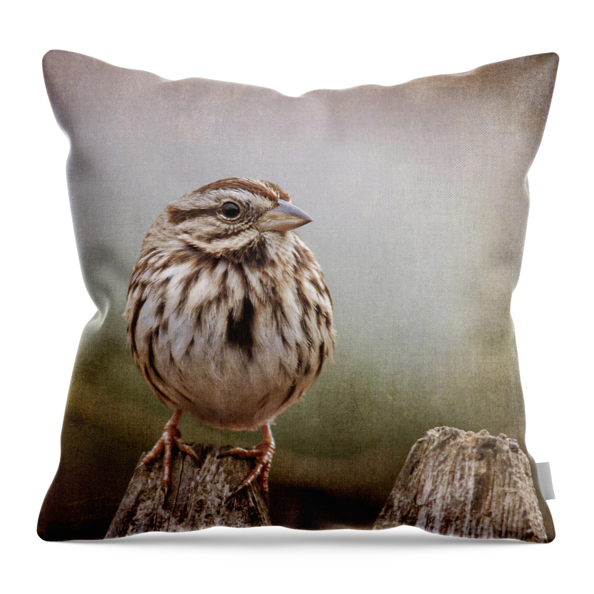 Sparrow Throw Pillow featuring the photograph The Song Sparrow by Cathy Kovarik