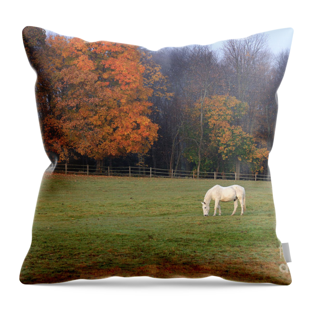 Horse Throw Pillow featuring the photograph The Standout by Jayne Carney