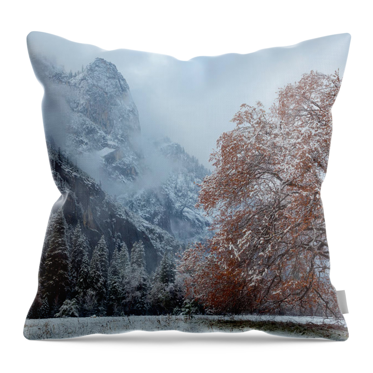 Landscape Throw Pillow featuring the photograph The Two Seasons by Jonathan Nguyen