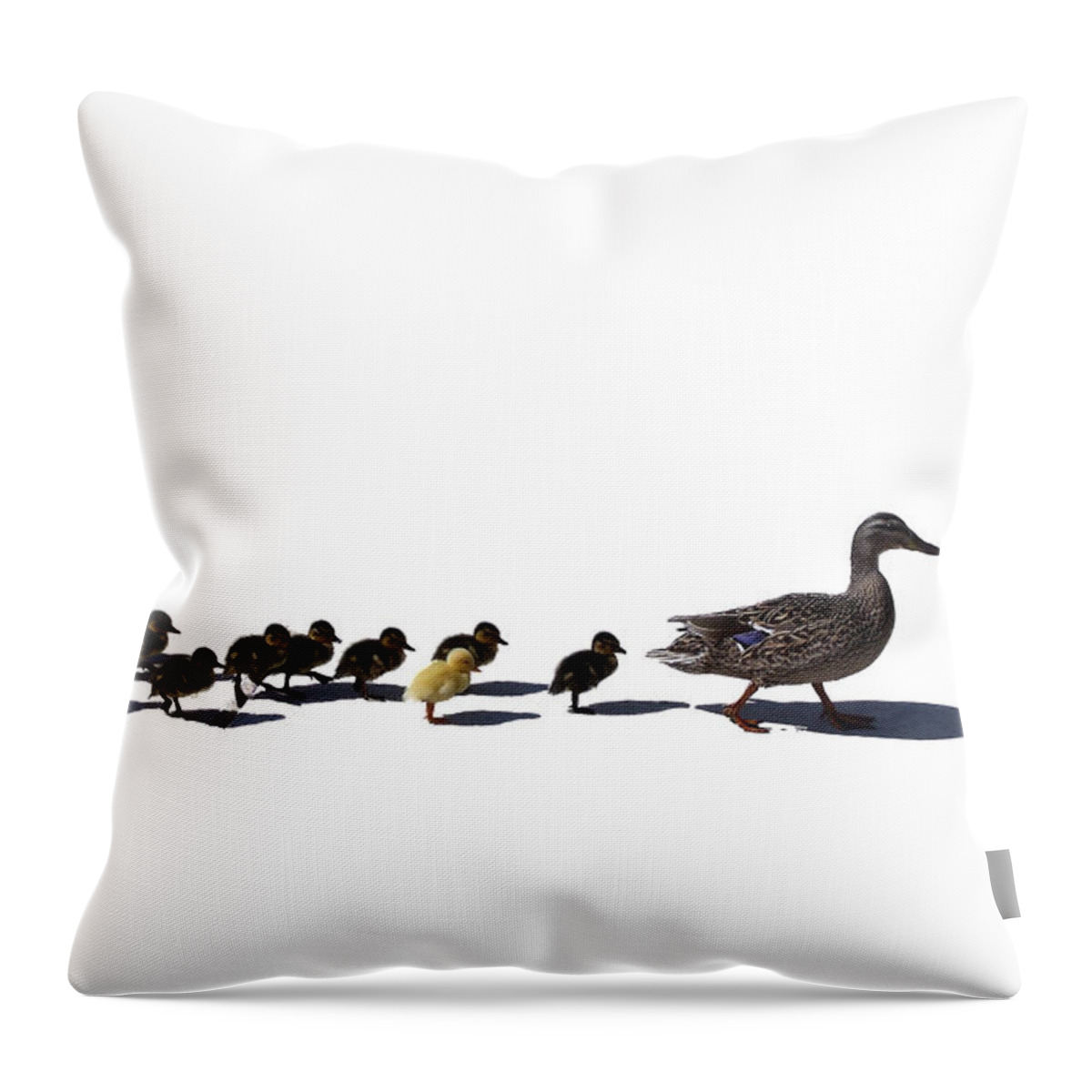 Animal Throw Pillow featuring the photograph The Ugly Duckling by Lars Lentz