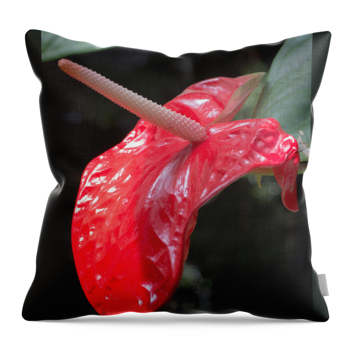 Antherium Throw Pillow featuring the photograph The Unique Antherium by Richard Goldman