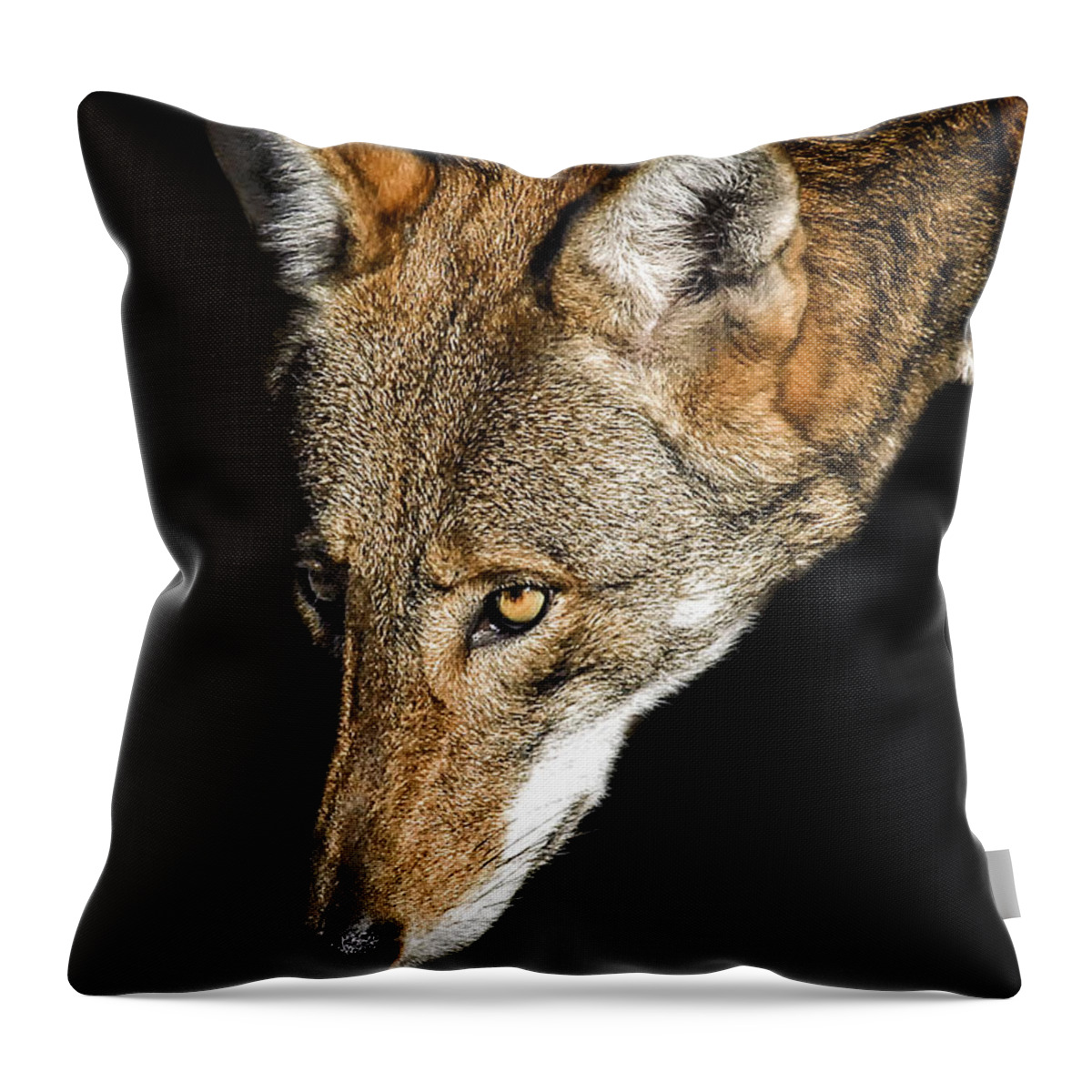 Red Wolf Throw Pillow featuring the photograph The Watcher by Ghostwinds Photography