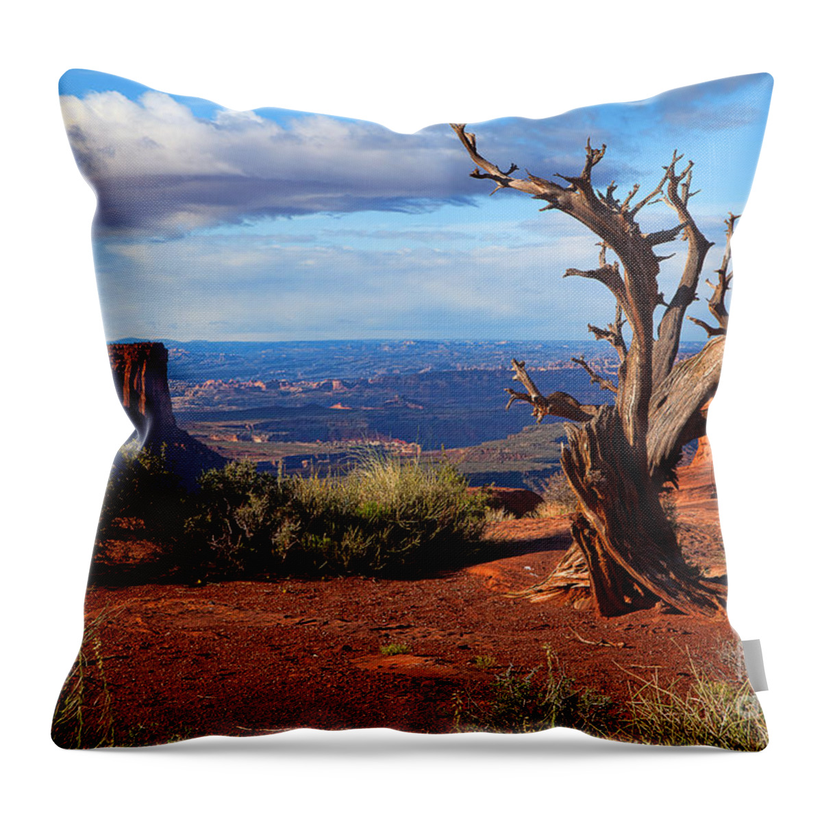 Canyonlands Throw Pillow featuring the photograph The Watchman by Jim Garrison