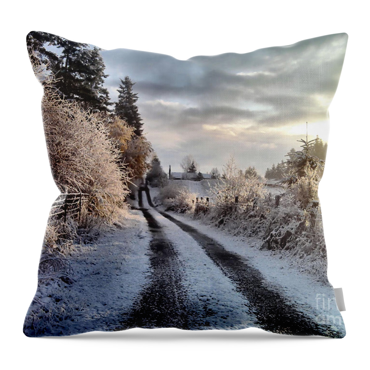 Landscape Throw Pillow featuring the photograph The Way Home by Rory Siegel