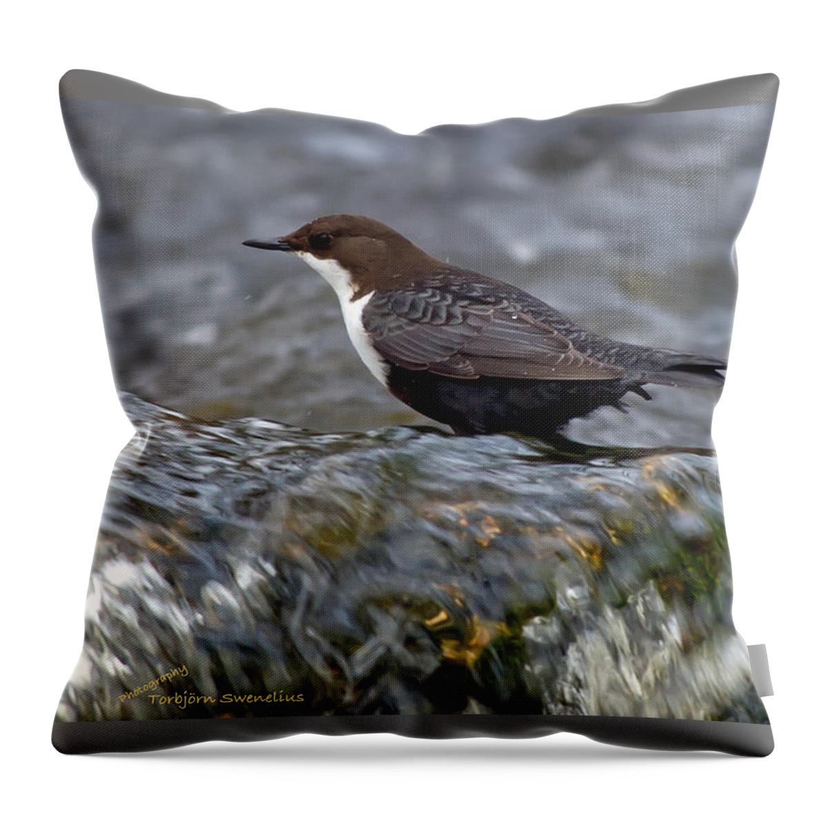 The White-throated Dipper Throw Pillow featuring the photograph The White-throated Dipper by Torbjorn Swenelius