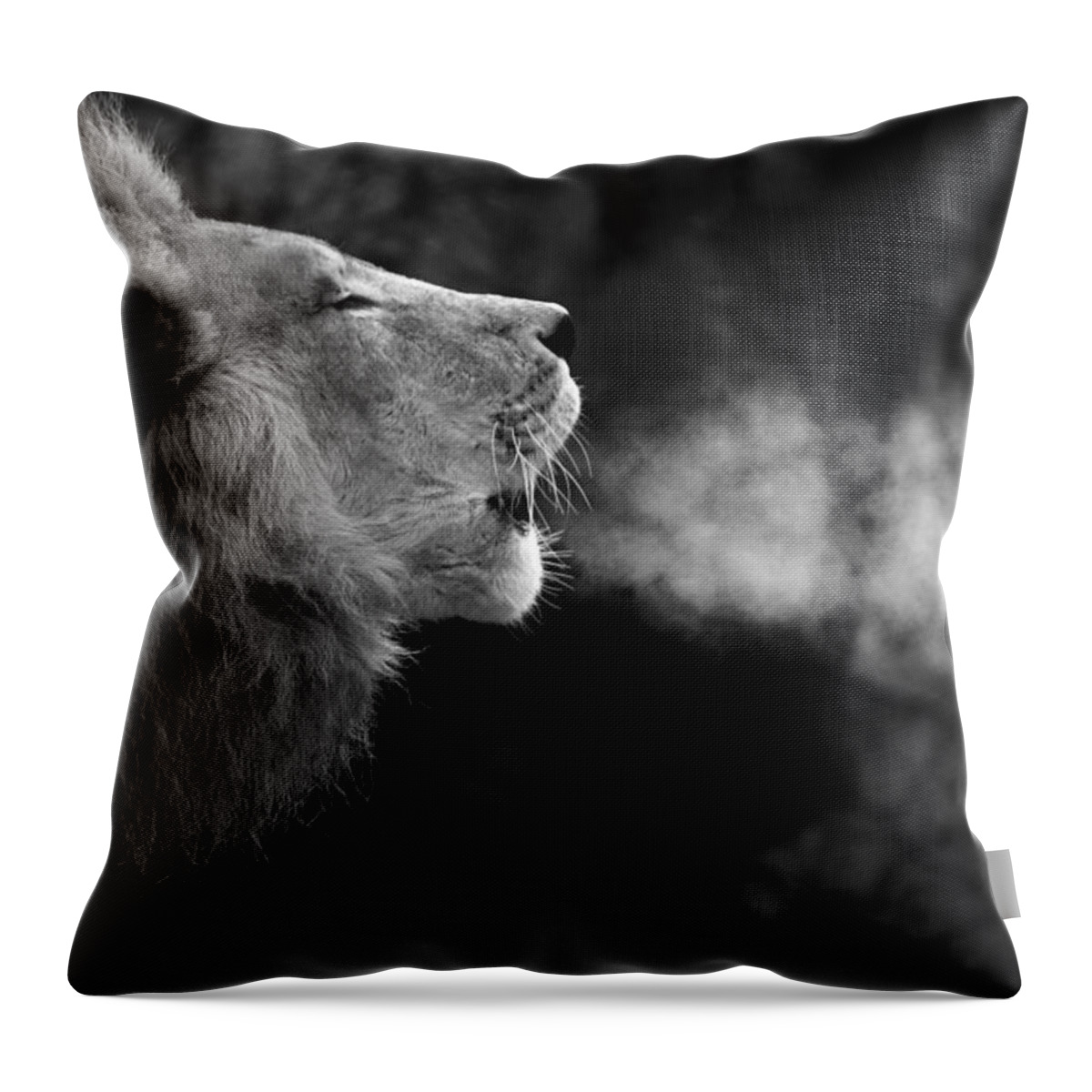 African Throw Pillow featuring the photograph The Will of the King by Larry Bohlin