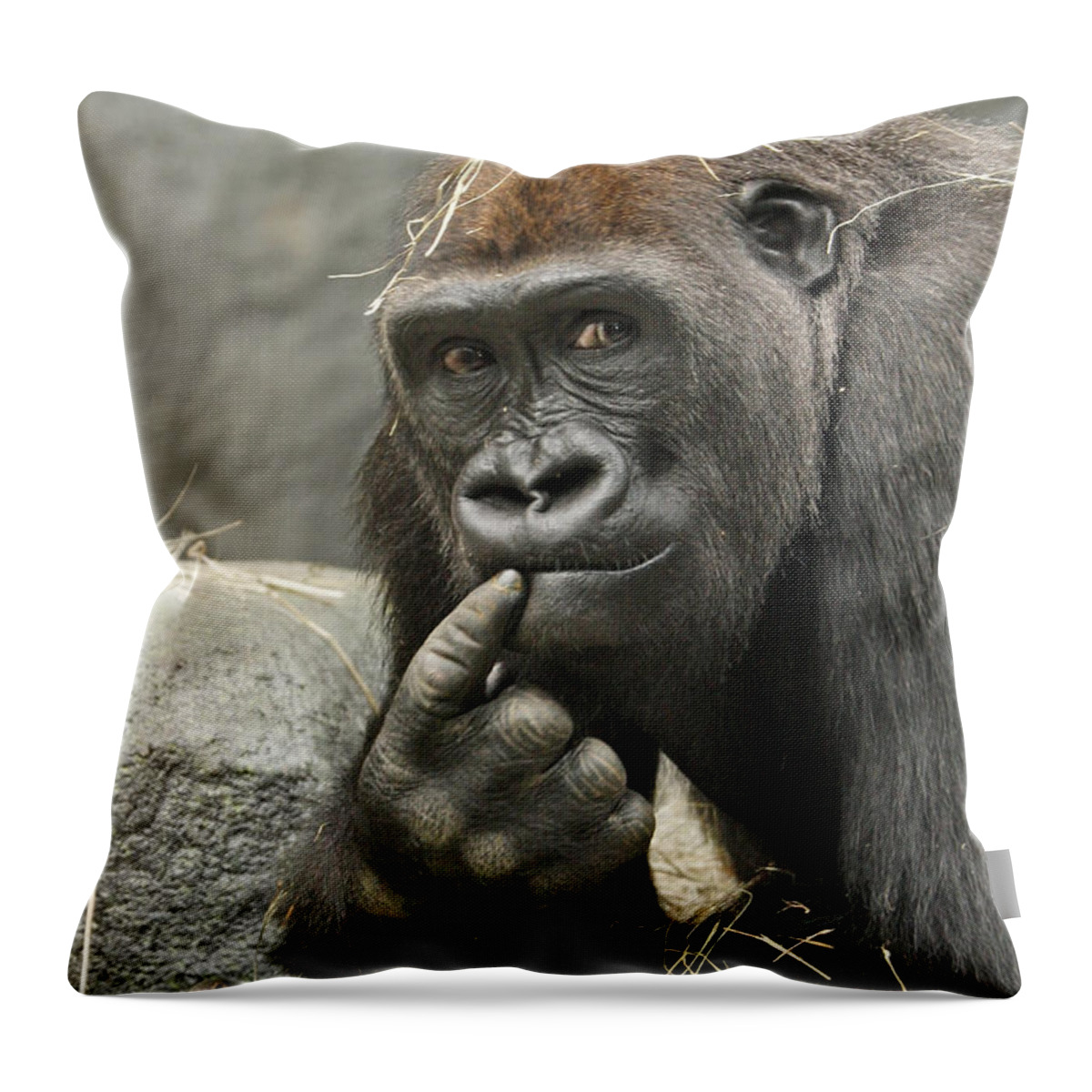 Gorilla Throw Pillow featuring the photograph Thinking It Over by Patty Colabuono
