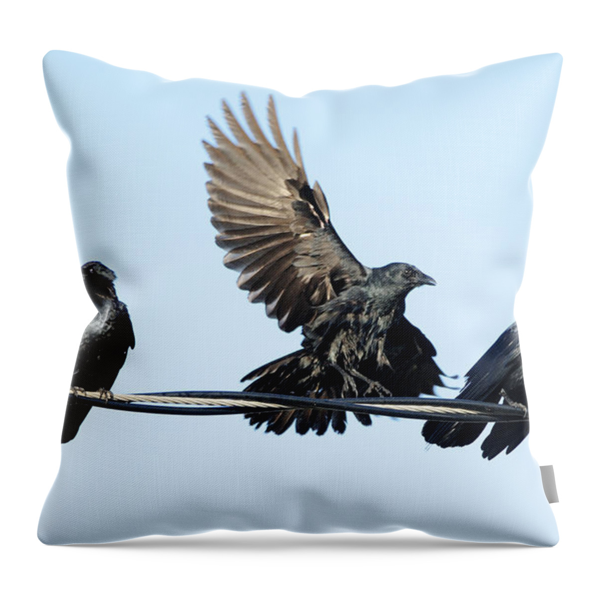 Crow Throw Pillow featuring the photograph Three Crows on a Wire. by Bradford Martin