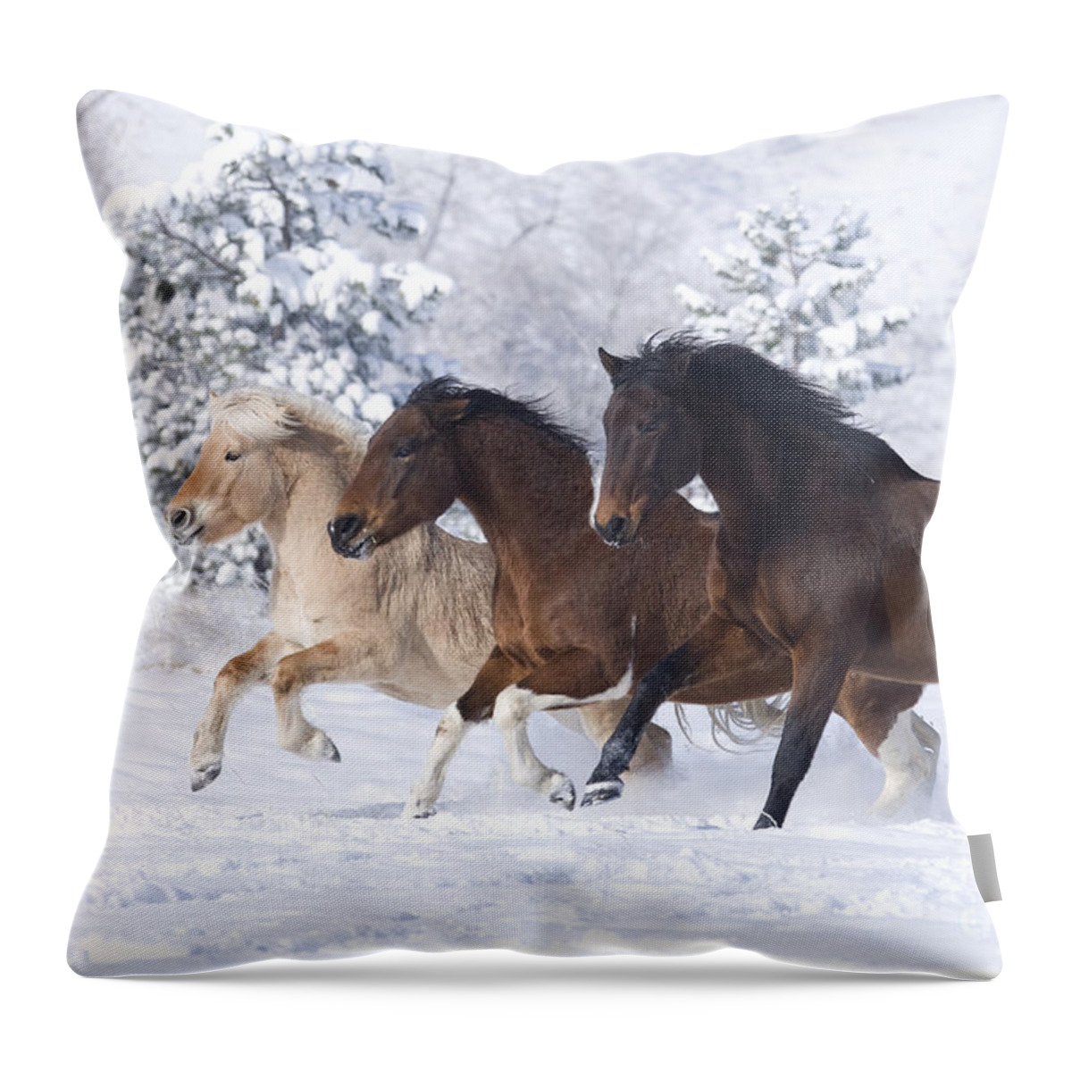 Horse Throw Pillow featuring the photograph Three Snow Horses by Carol Walker