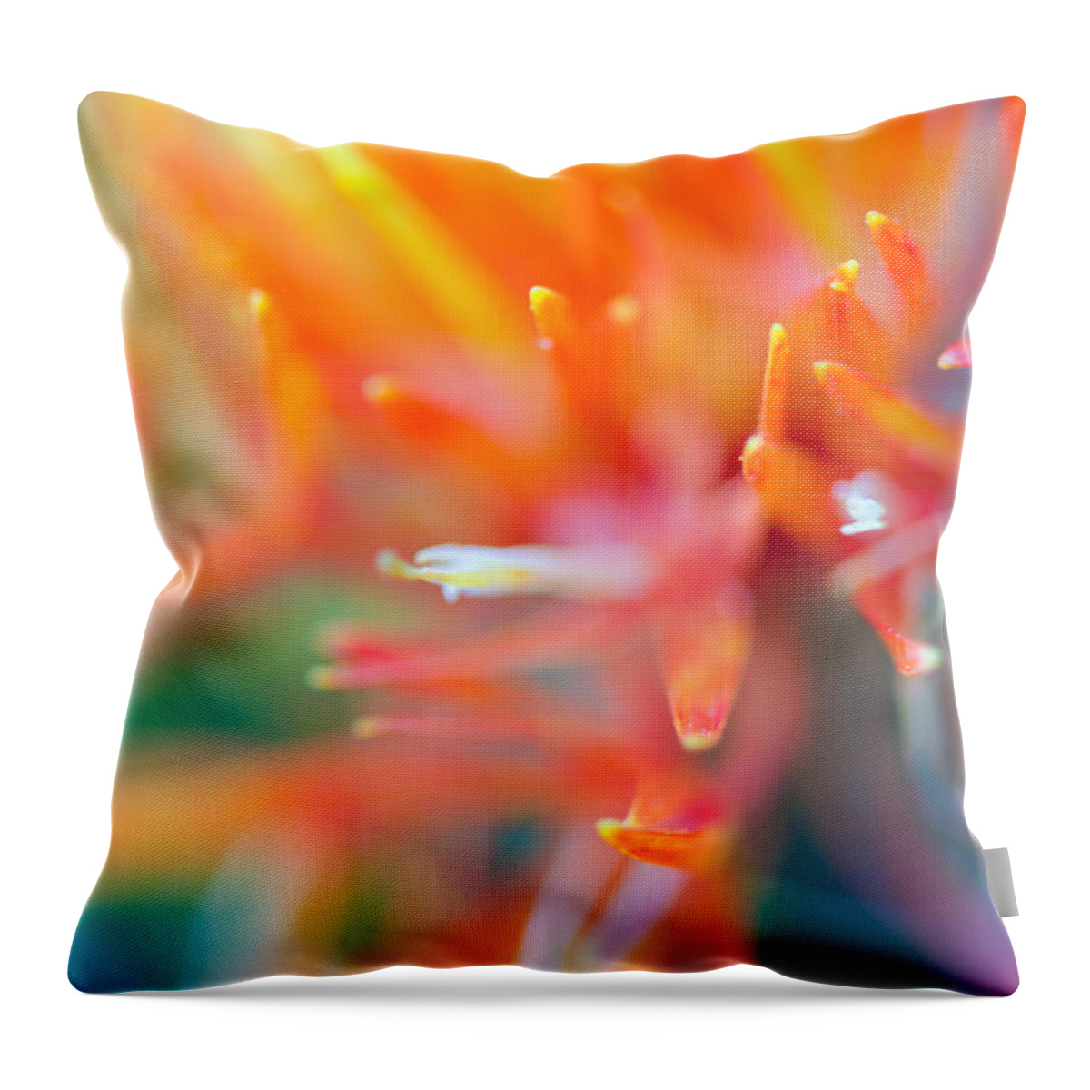 Abstract Throw Pillow featuring the photograph Tie-Dye by Tamara Becker