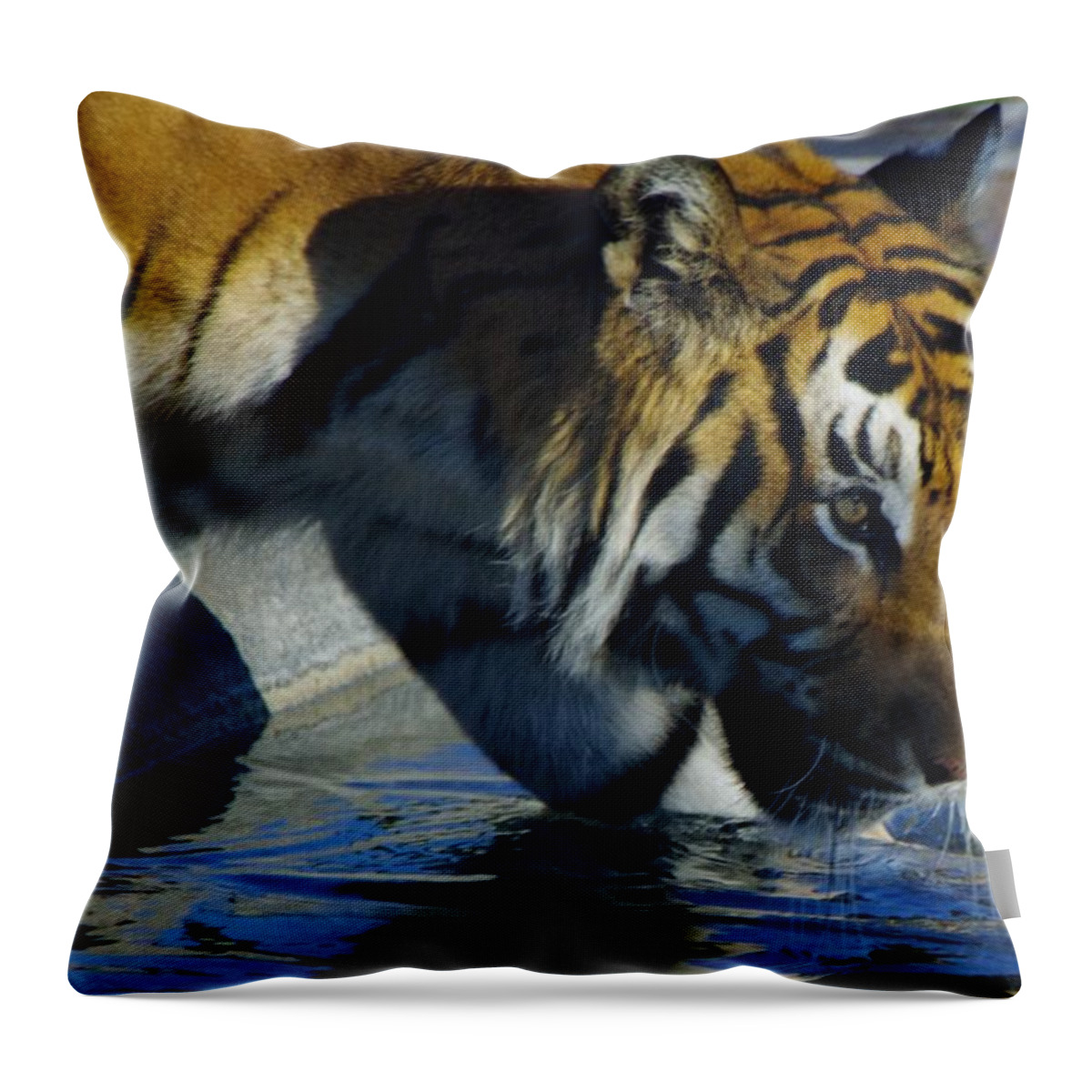 Lions Tigers And Bears Throw Pillow featuring the photograph Tiger 2 by Phyllis Spoor