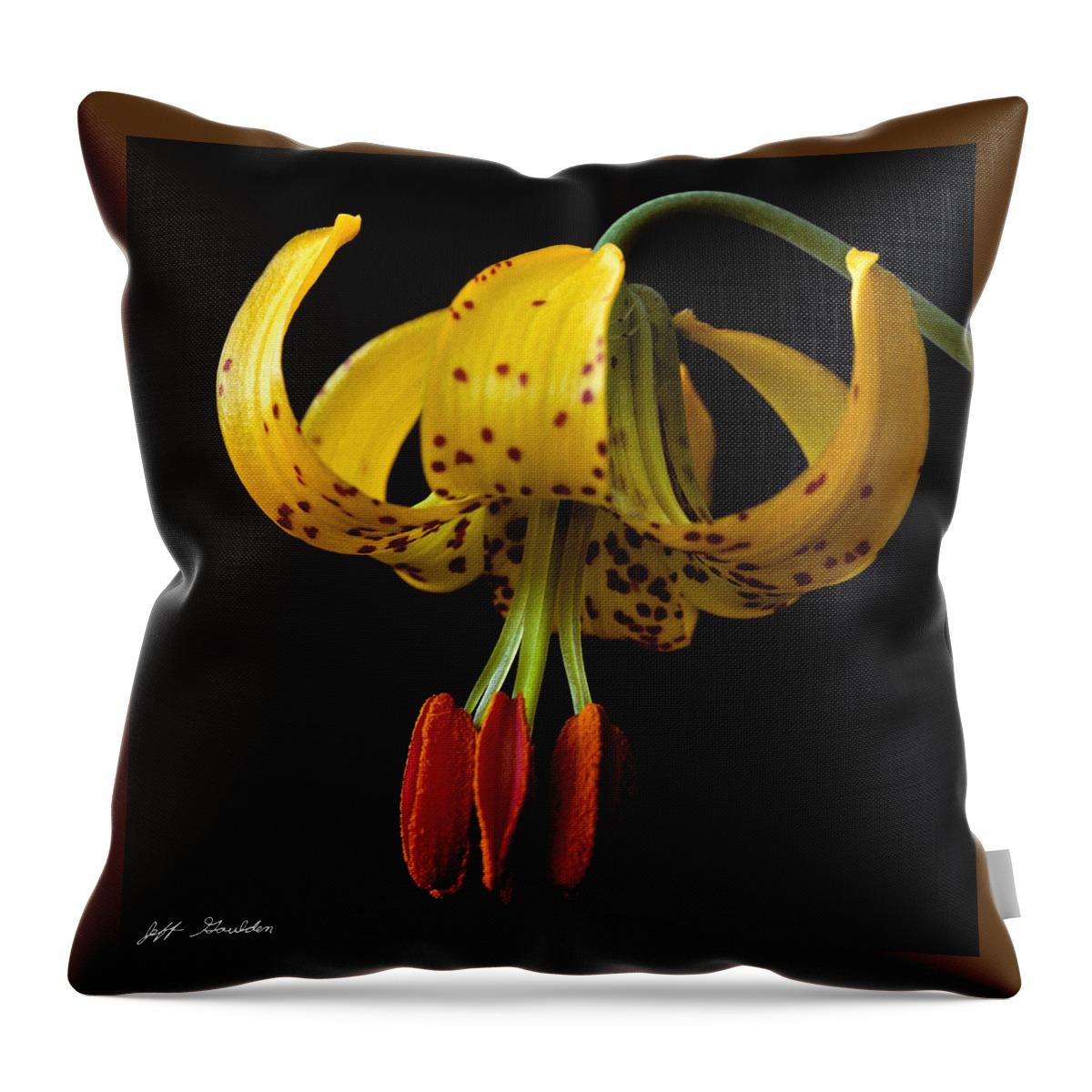 Beauty In Nature Throw Pillow featuring the photograph Tiger Lily by Jeff Goulden