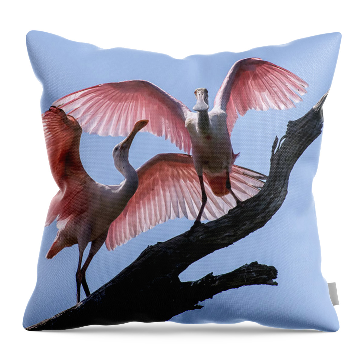 Crystal Yingling Throw Pillow featuring the photograph Time to Fly by Ghostwinds Photography