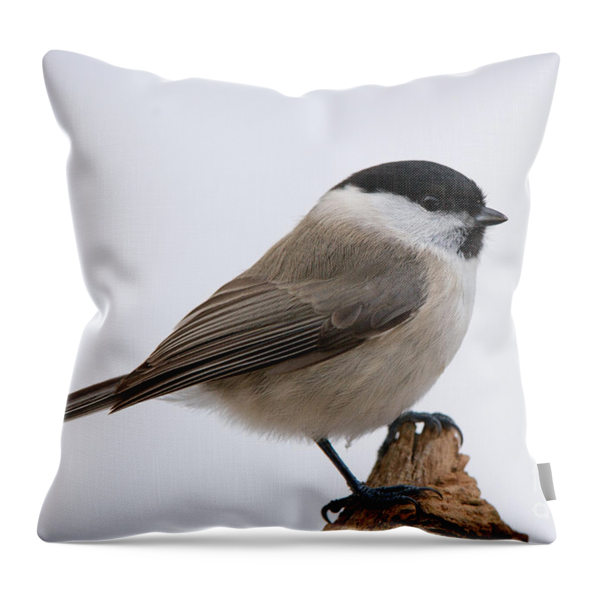 Titmouse Throw Pillow featuring the photograph Titmouse by Torbjorn Swenelius