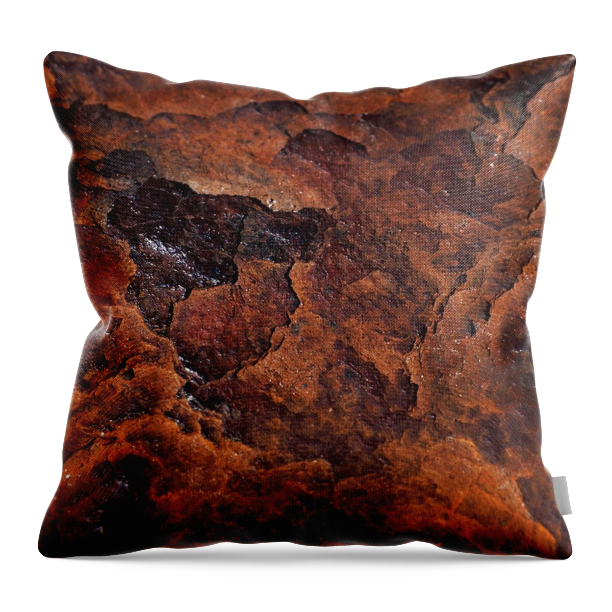Rust Throw Pillow featuring the photograph Topography of Rust by Rona Black
