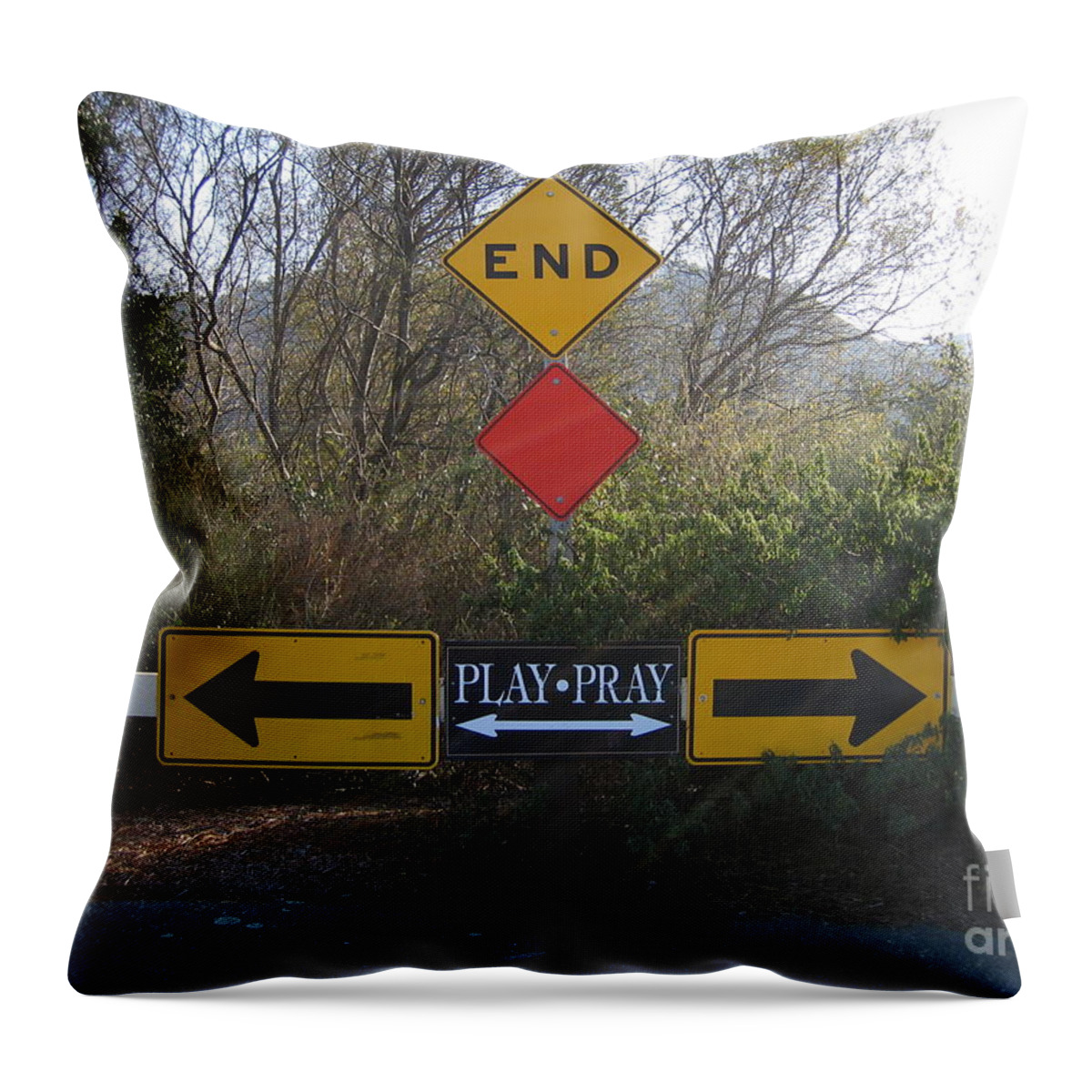 Dead End Throw Pillow featuring the photograph Tough Decision by James B Toy