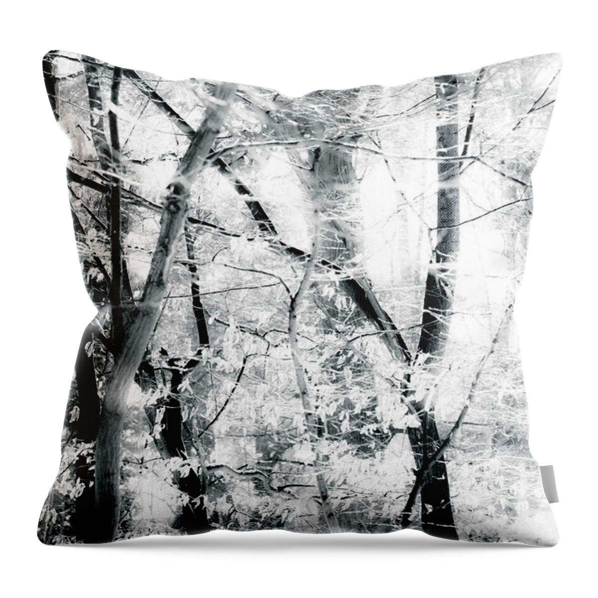 Wind Throw Pillow featuring the photograph Tree Breeze by Dorit Fuhg