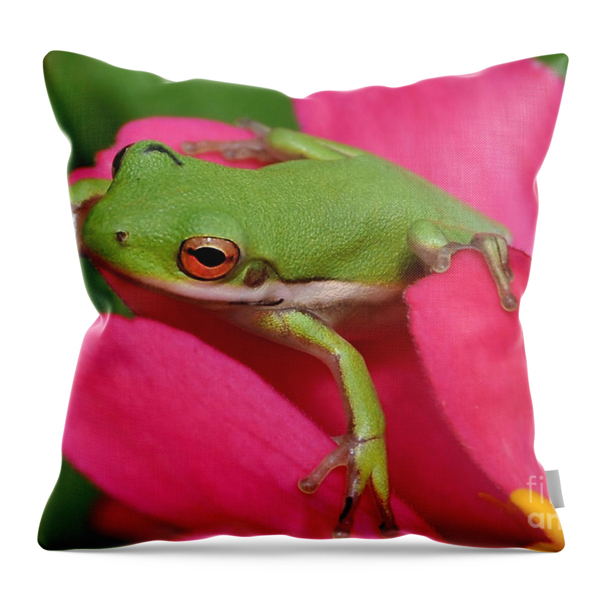 Frog Throw Pillow featuring the photograph Tree Frog On A Pink Flower by Kathy Baccari