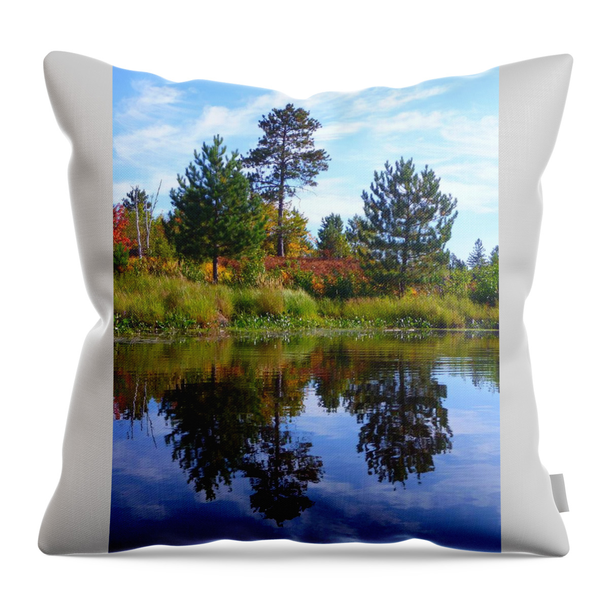 Trees Throw Pillow featuring the photograph Tree Sisters by Gigi Dequanne
