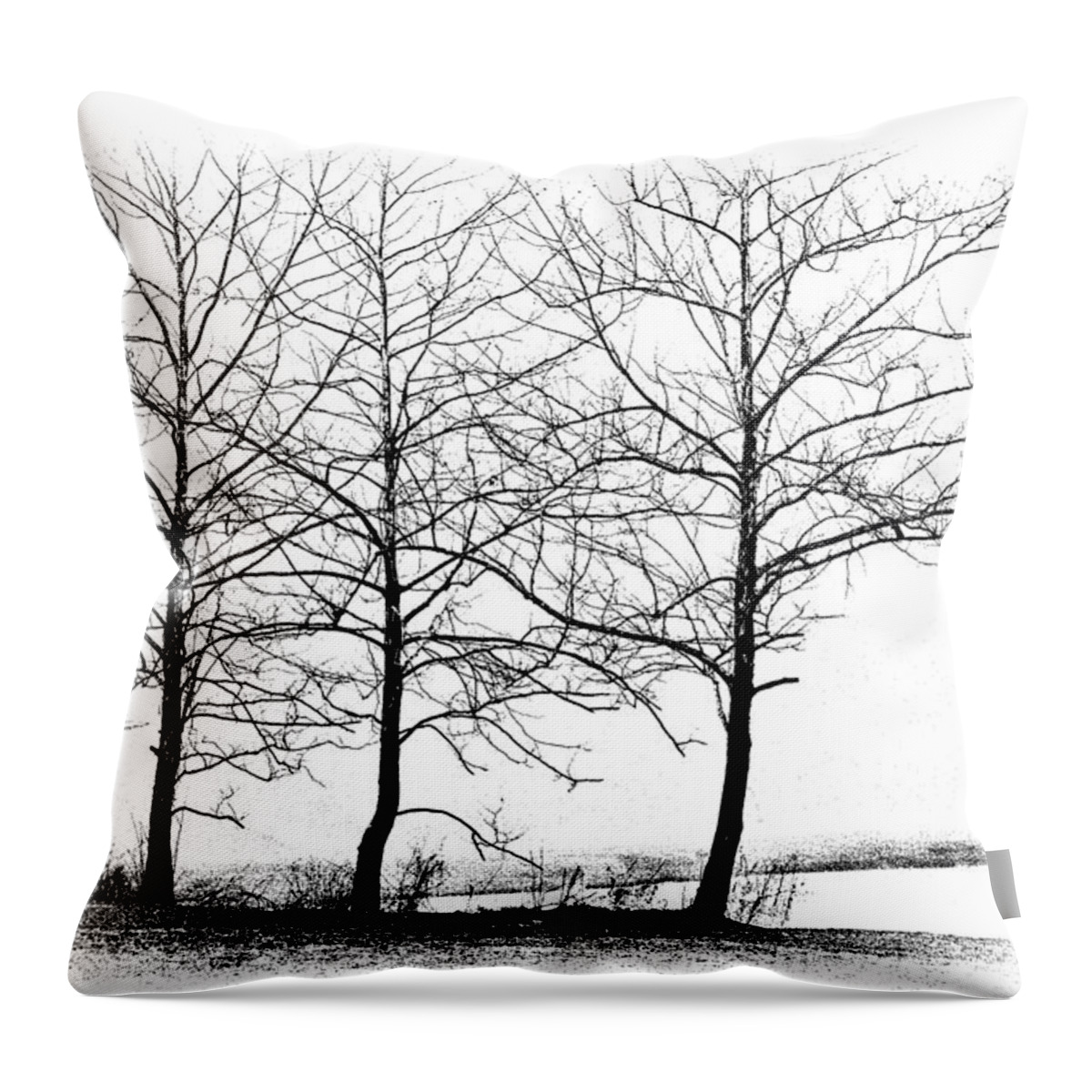 Art Throw Pillow featuring the photograph Trees at Water's Edge by Tom Mc Nemar
