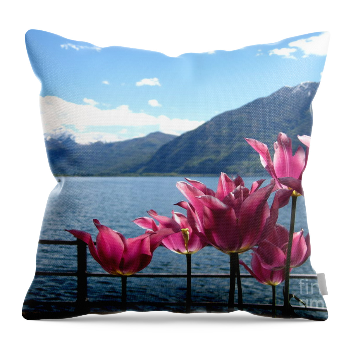 Sky Throw Pillow featuring the photograph Tulips at Lake Geneva by Amanda Mohler