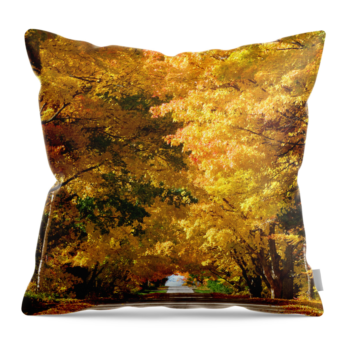 Fall Throw Pillow featuring the photograph Tunnel of Yellow Leaves by David T Wilkinson