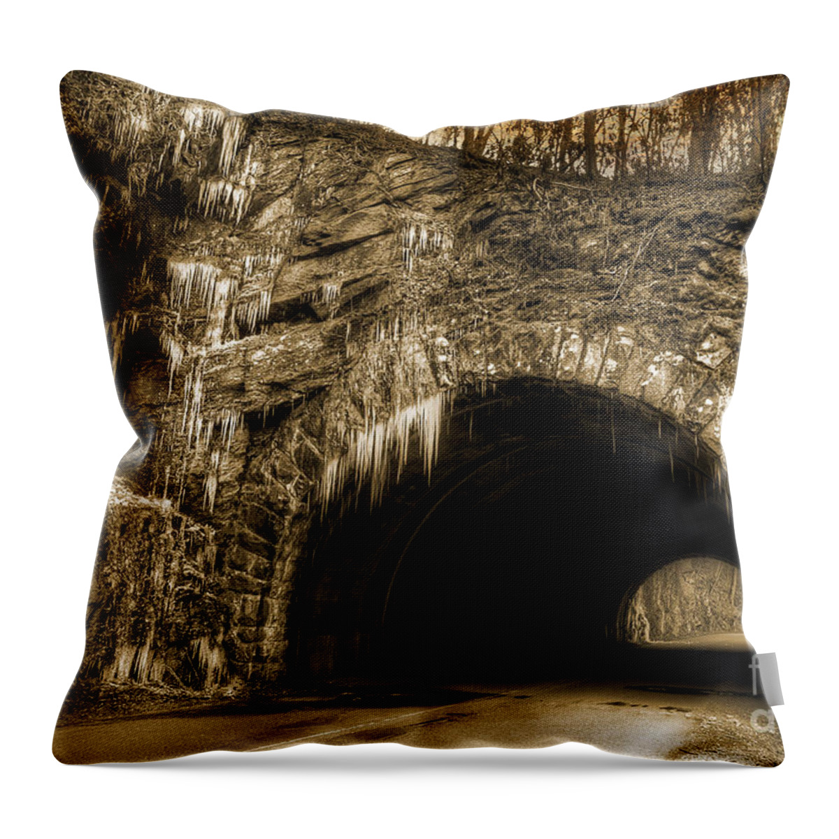 Tunnel Throw Pillow featuring the photograph Tunnel Through The Smokies by Michael Eingle
