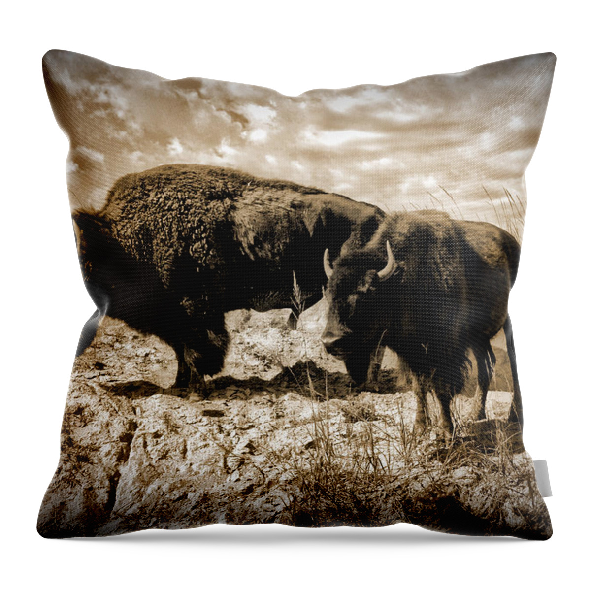 Photograph Throw Pillow featuring the photograph Two Buffalo by Richard Gehlbach