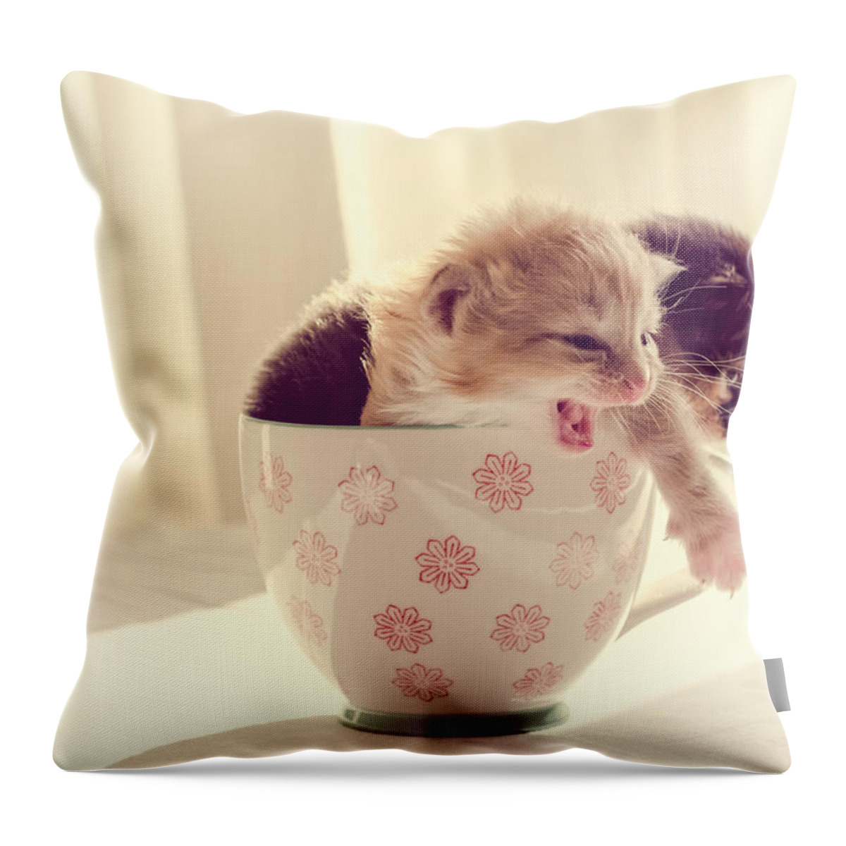 Two Throw Pillow featuring the photograph Two Cute Kittens in a Cup by Spikey Mouse Photography