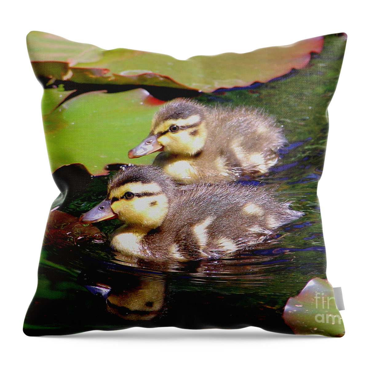 Ducklings Throw Pillow featuring the photograph Two Ducklings by Amanda Mohler