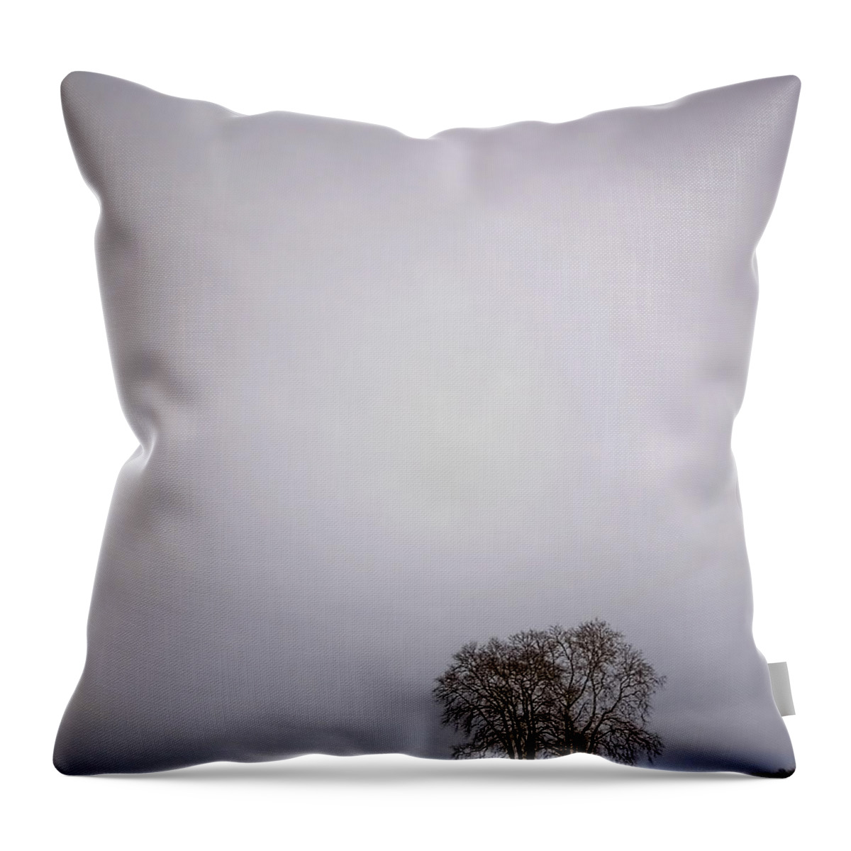 Country Throw Pillow featuring the photograph Two by Evelina Kremsdorf