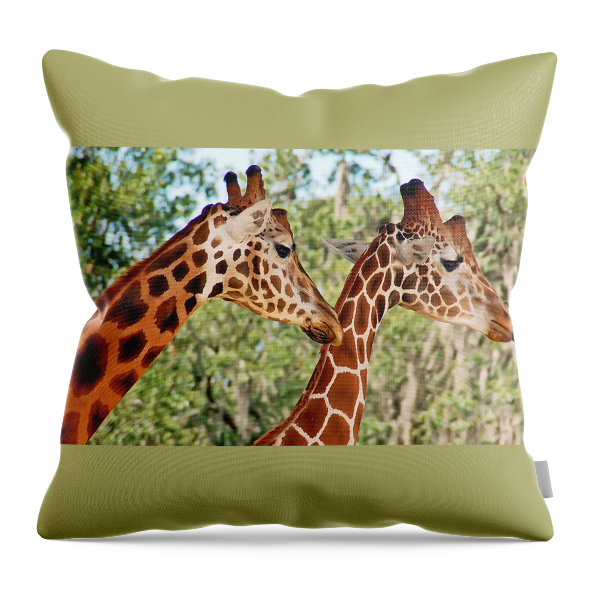 Giraffe Throw Pillow featuring the photograph Two Giraffes by Aimee L Maher ALM GALLERY