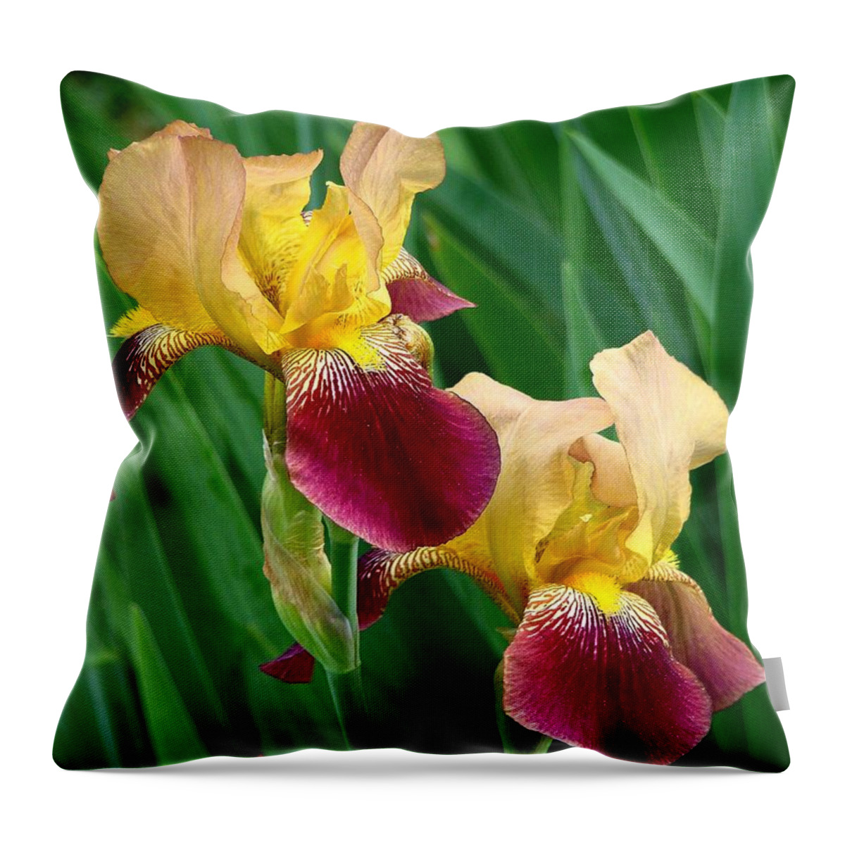 Fine Art Throw Pillow featuring the photograph Two Iris by Rodney Lee Williams