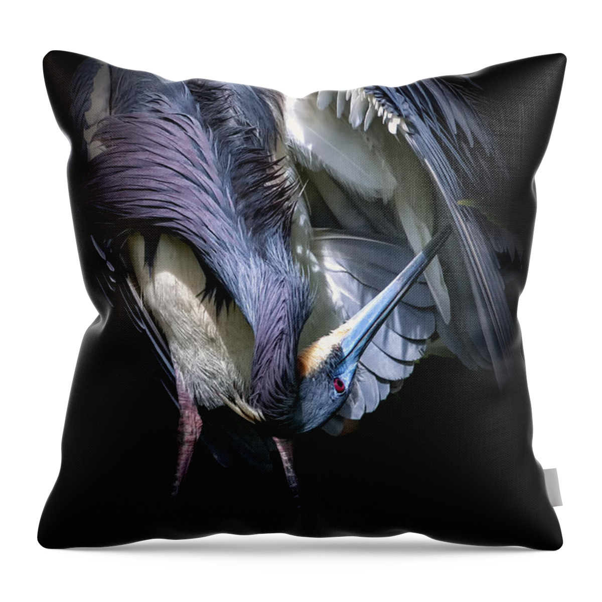 Tricolored Heron Throw Pillow featuring the photograph Under the Hood by Ghostwinds Photography