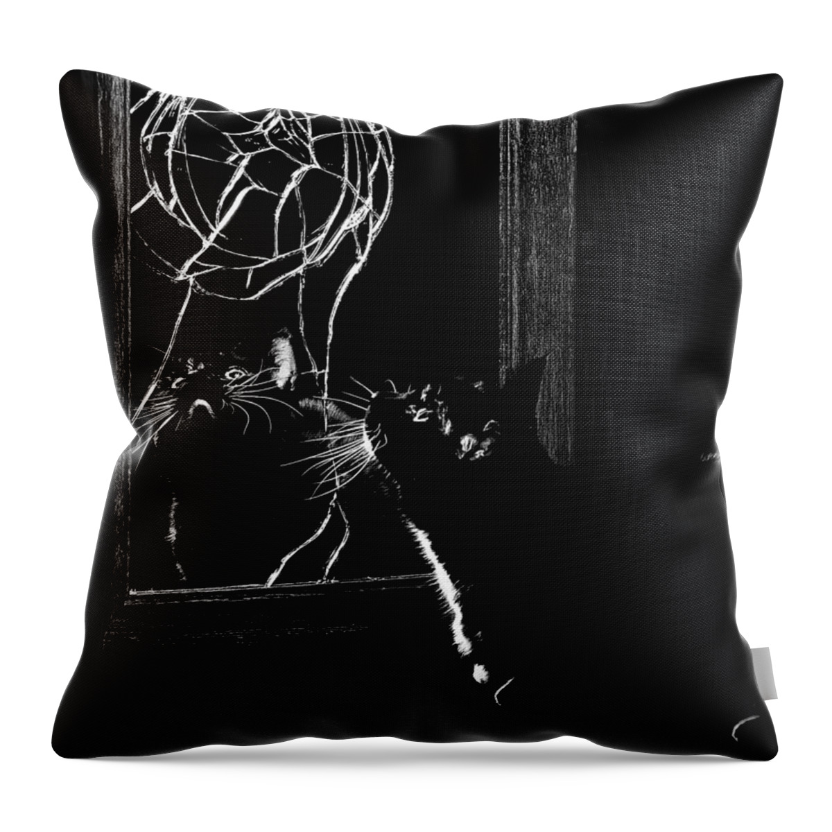 Unlucky Throw Pillow featuring the photograph Unlucky by Rick Mosher