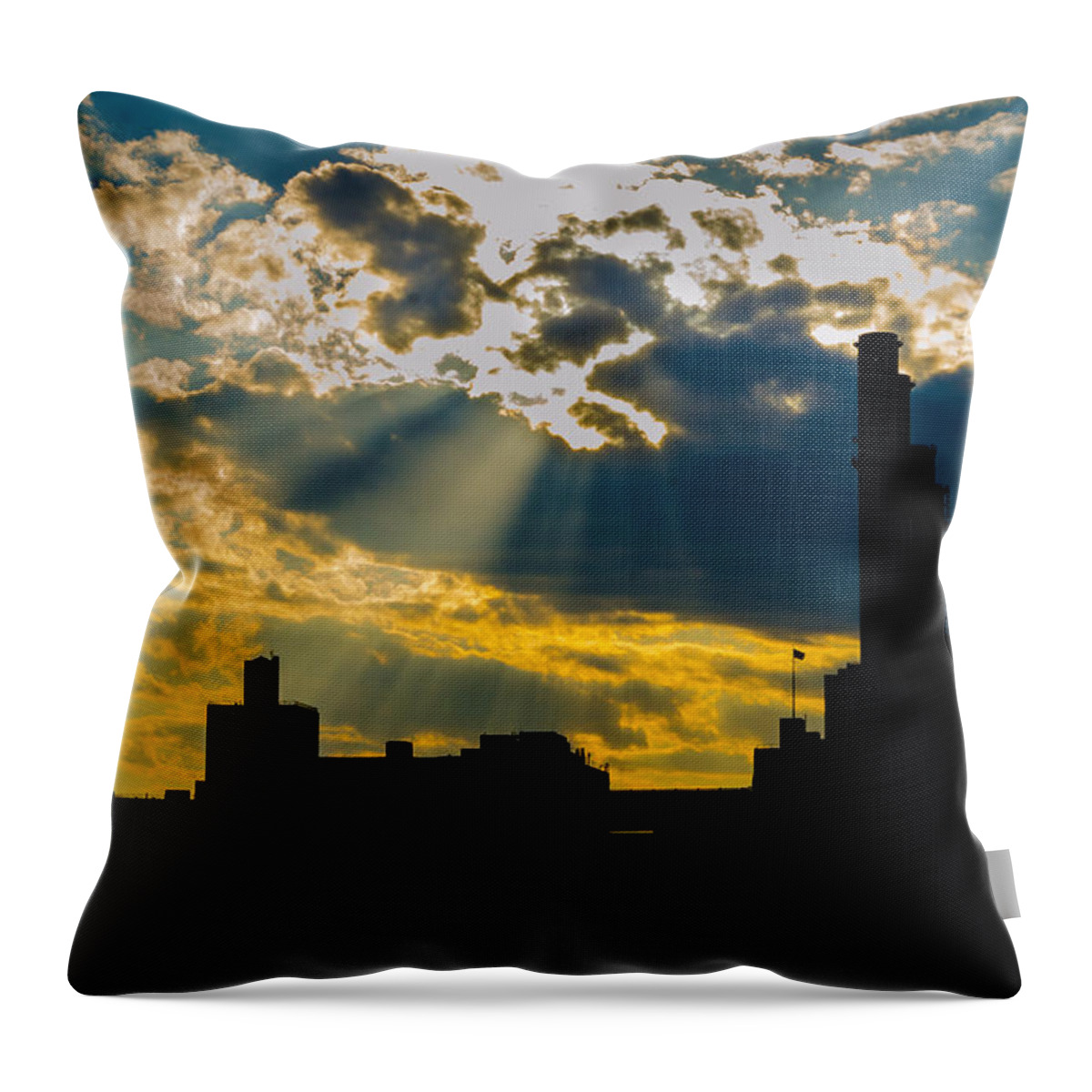 June 2014 Throw Pillow featuring the photograph Urban Silhouette by Frank Mari