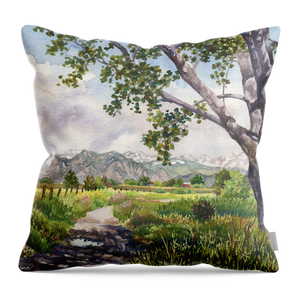 Colorado Landscape Painting Throw Pillow featuring the painting View from Stearns Lake by Anne Gifford