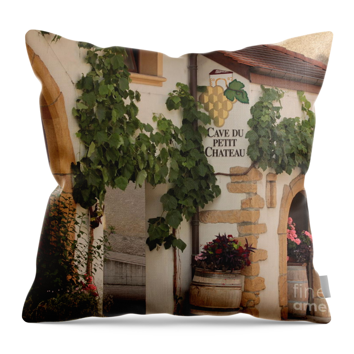 Switzerland Throw Pillow featuring the photograph Vine cellar by Amanda Mohler
