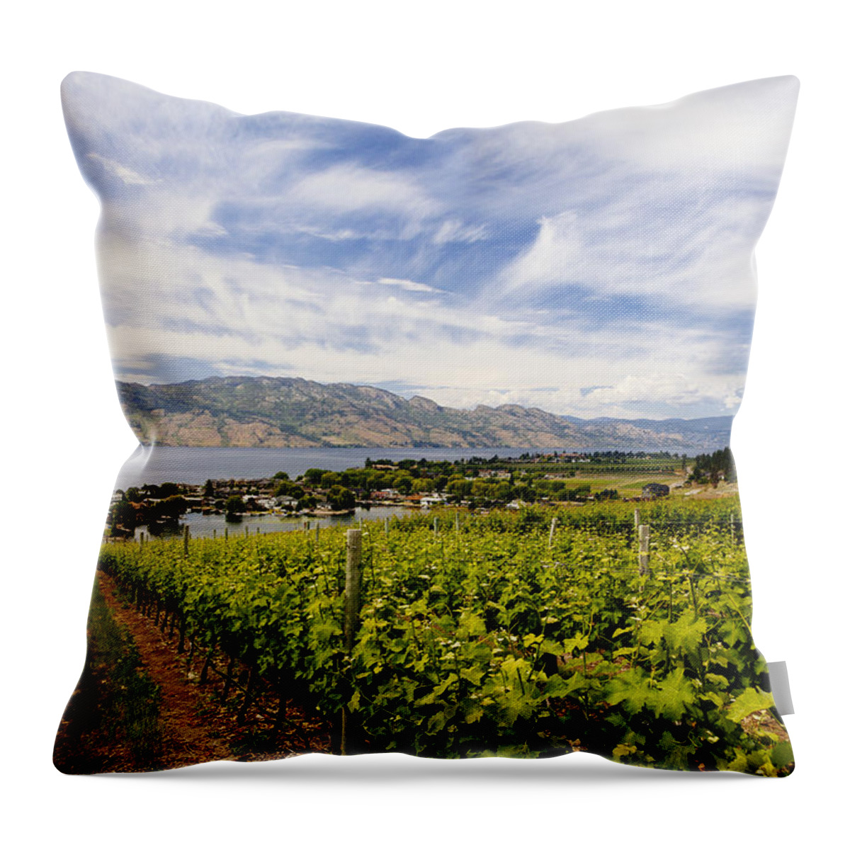 Landscape Throw Pillow featuring the photograph Vineyard View by Laura Tucker