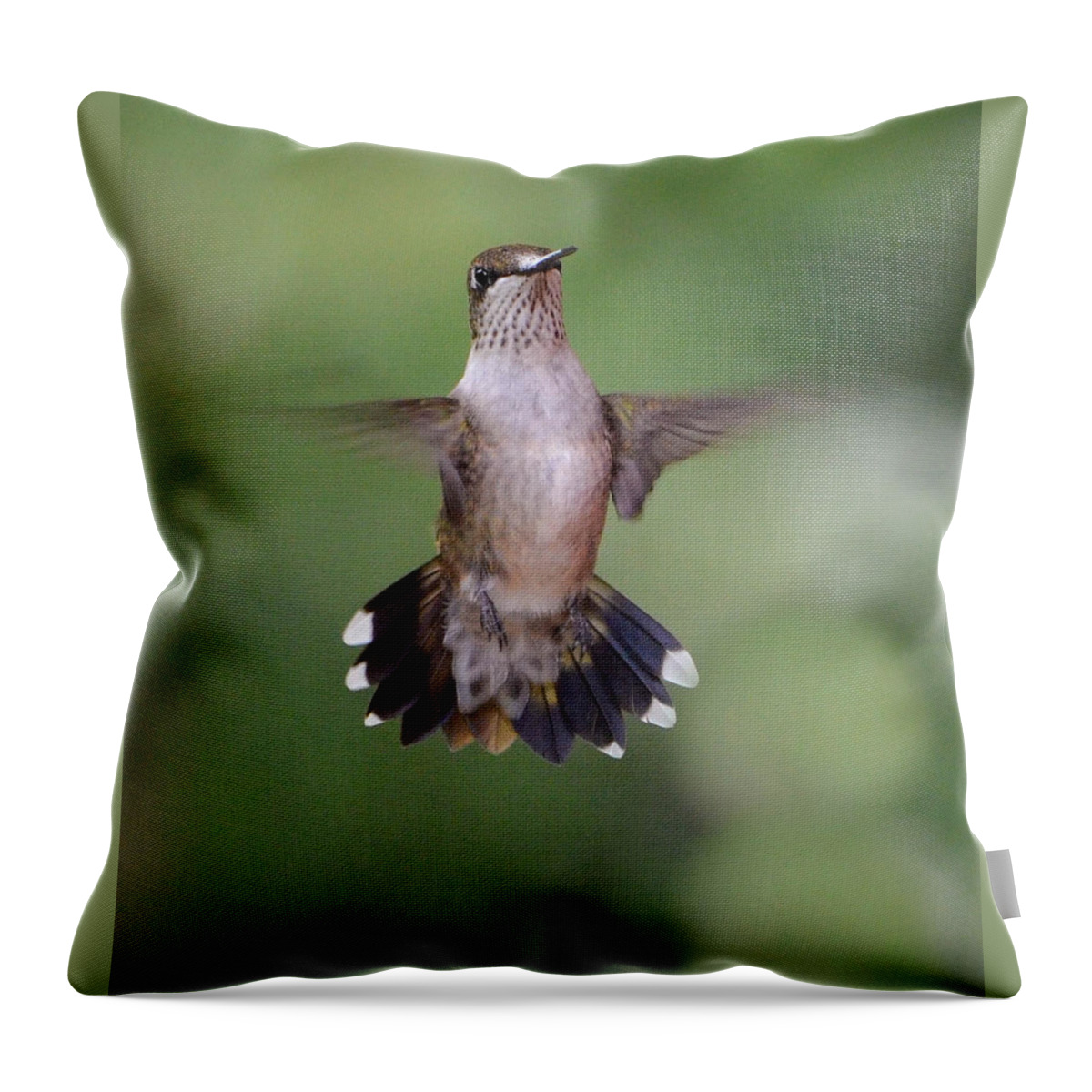 Hummingbird Throw Pillow featuring the photograph Waiting for a Turn by Amy Porter