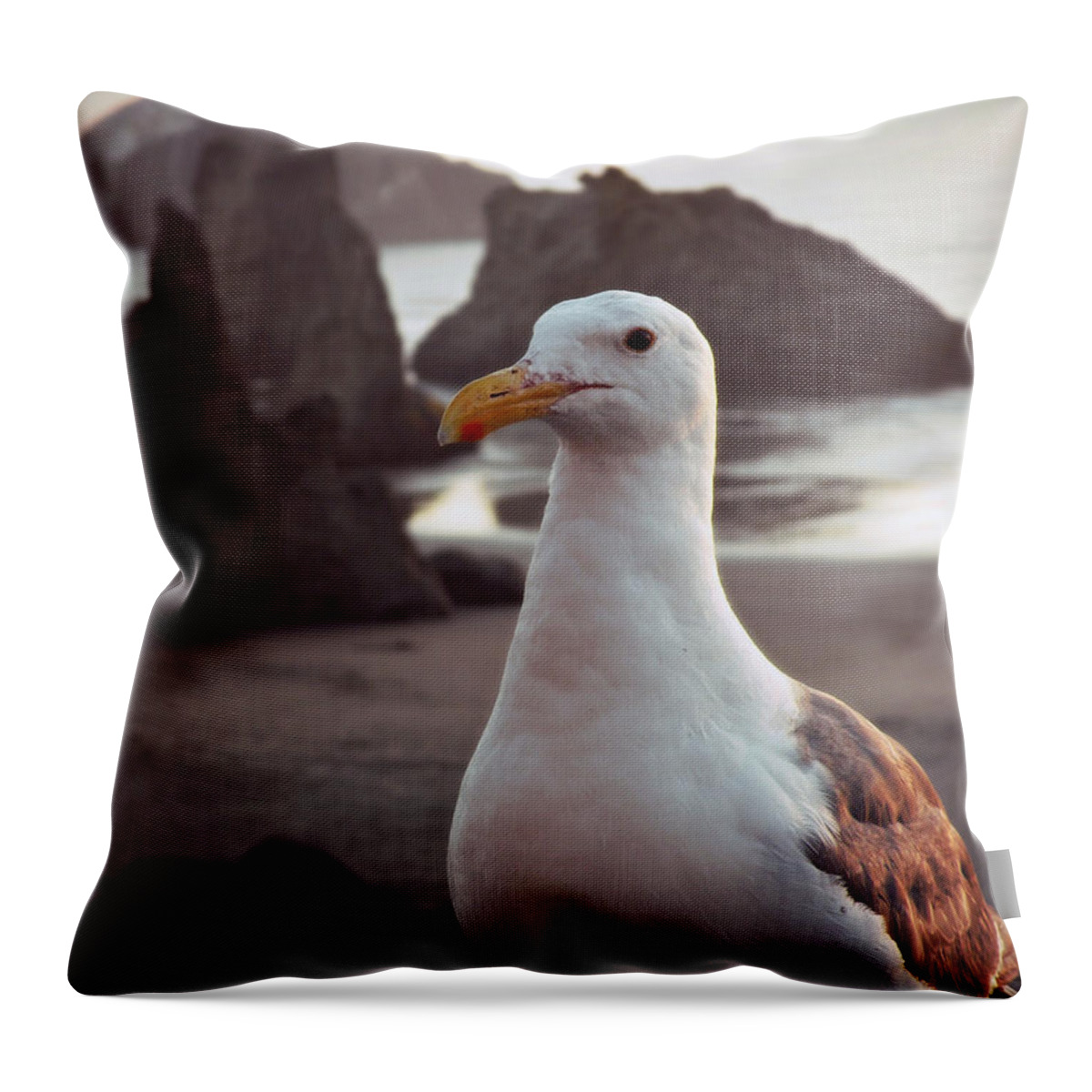 Waiting For A Handout Throw Pillow featuring the photograph Waiting For A Handout by Micki Findlay