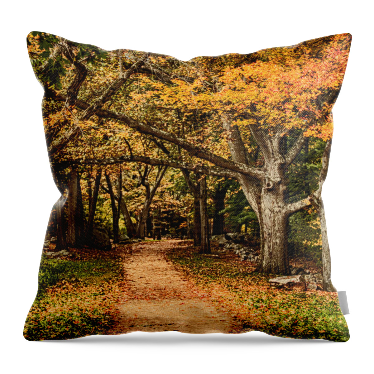 Autumn Foliage New England Throw Pillow featuring the photograph Walk in the woods by Jeff Folger