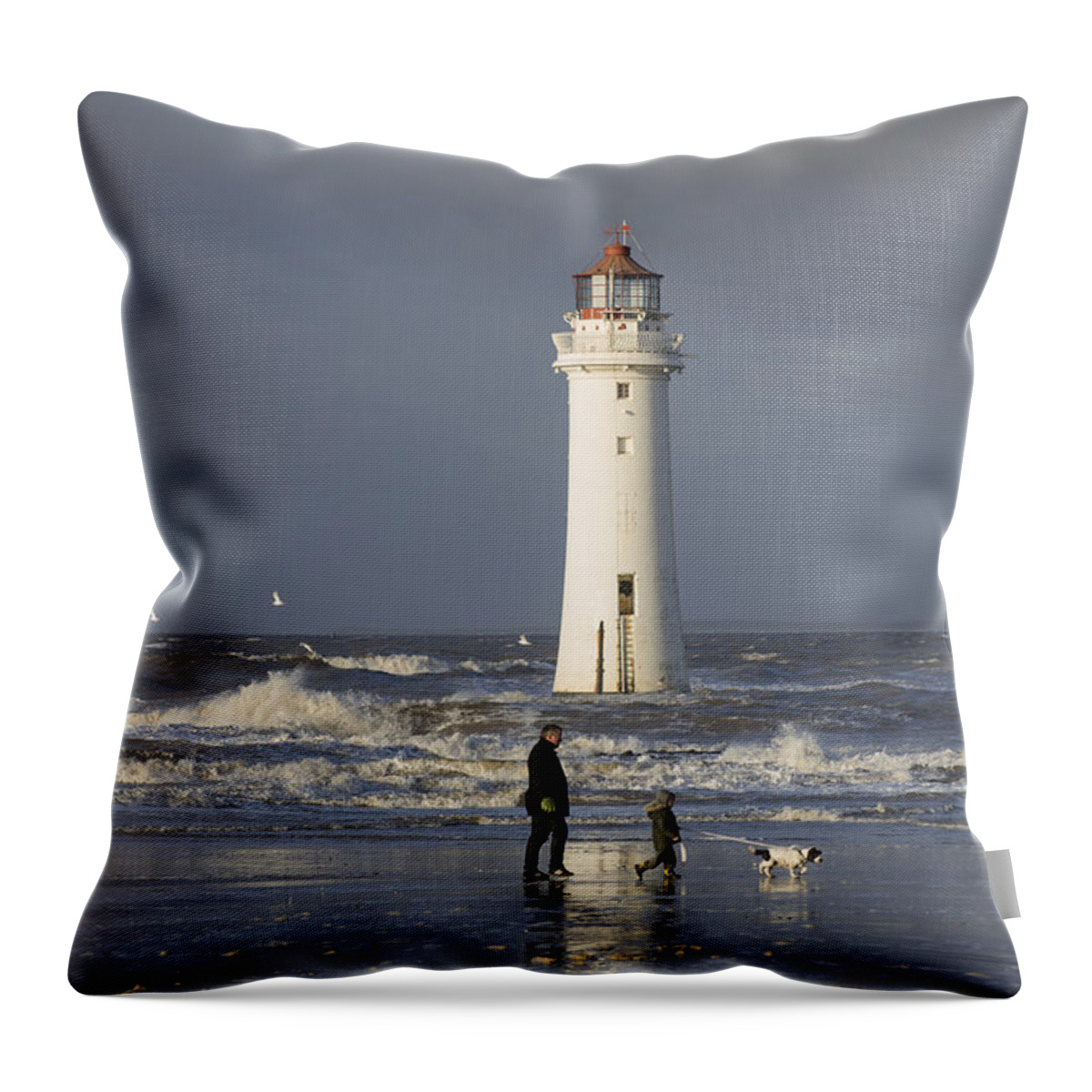 Weather Throw Pillow featuring the photograph Walking the Dog by Spikey Mouse Photography